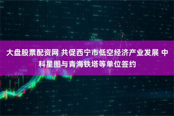 大盘股票配资网 共促西宁市低空经济产业发展 中科星图与青海铁塔等单位签约